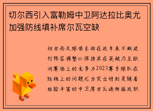 切尔西引入富勒姆中卫阿达拉比奥尤加强防线填补席尔瓦空缺 切尔西引入富勒姆中卫阿达拉比奥尤加强防线填补席尔瓦空缺
